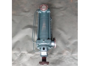 湖南发往新疆轮台县王总的泵 DF46-30*10不锈钢泵