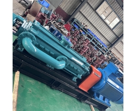 DP自平衡多级泵